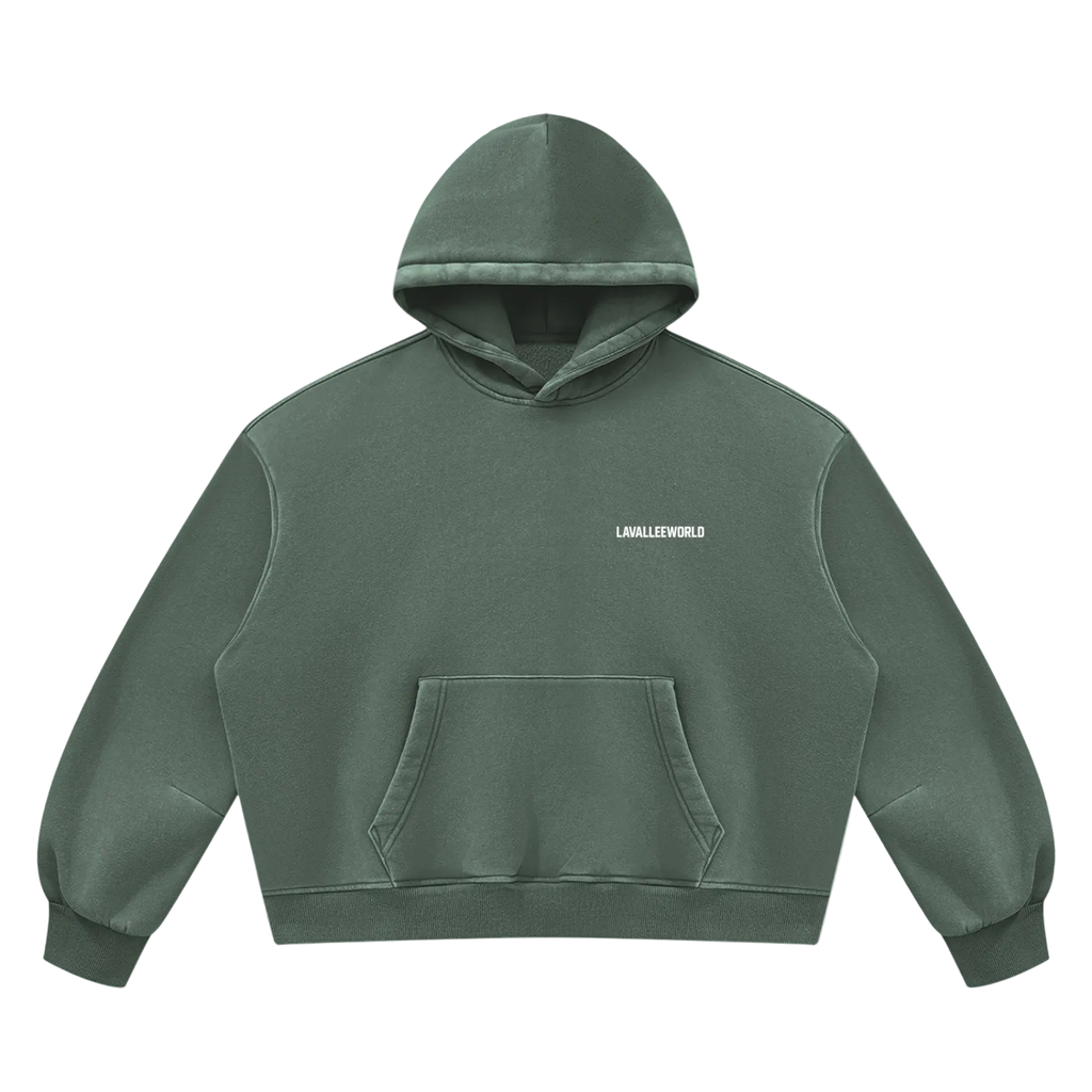 LAVALLEEWORLD vintage wash hoodie